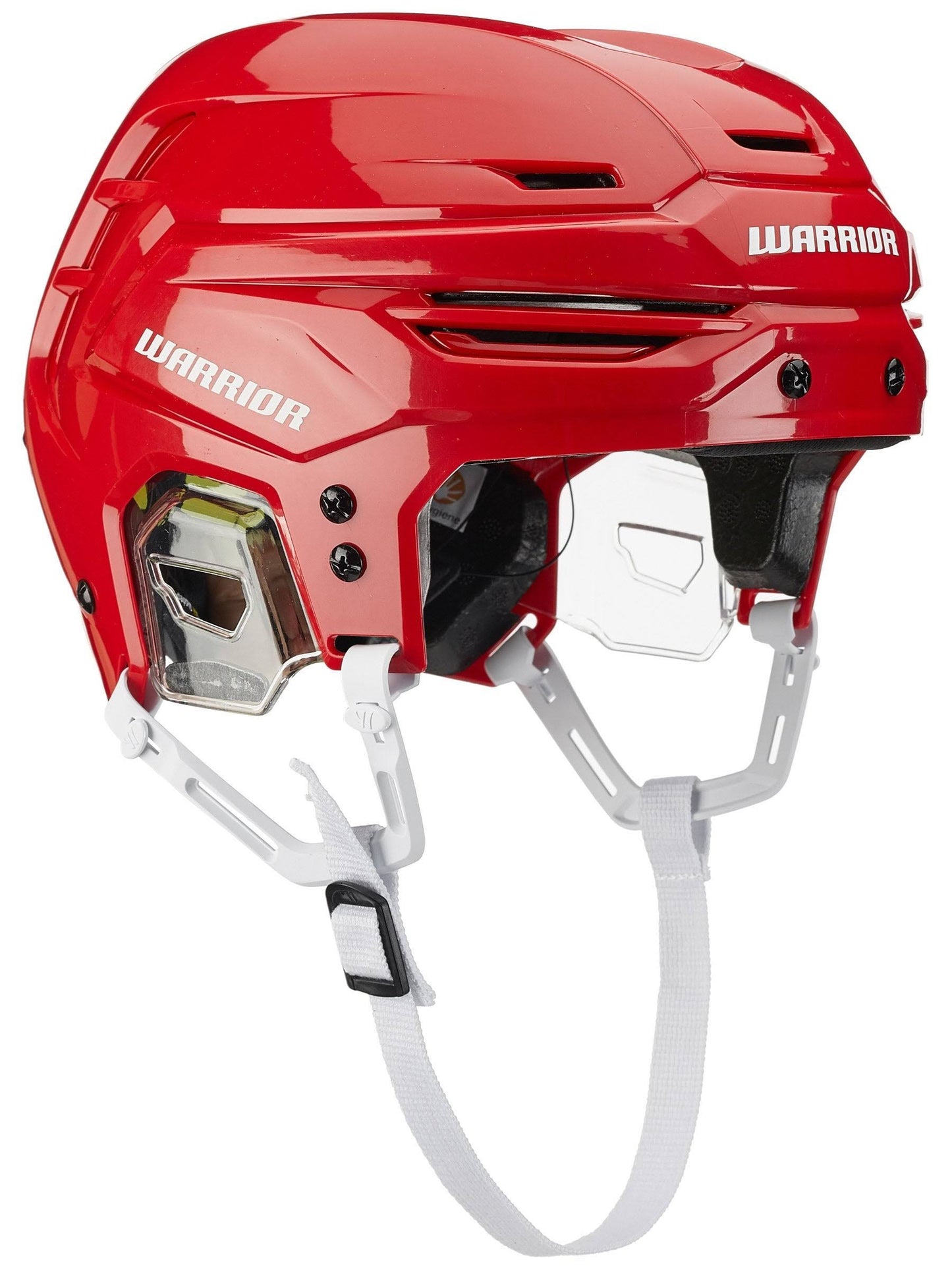 Alpha One Pro Hockey Helmet